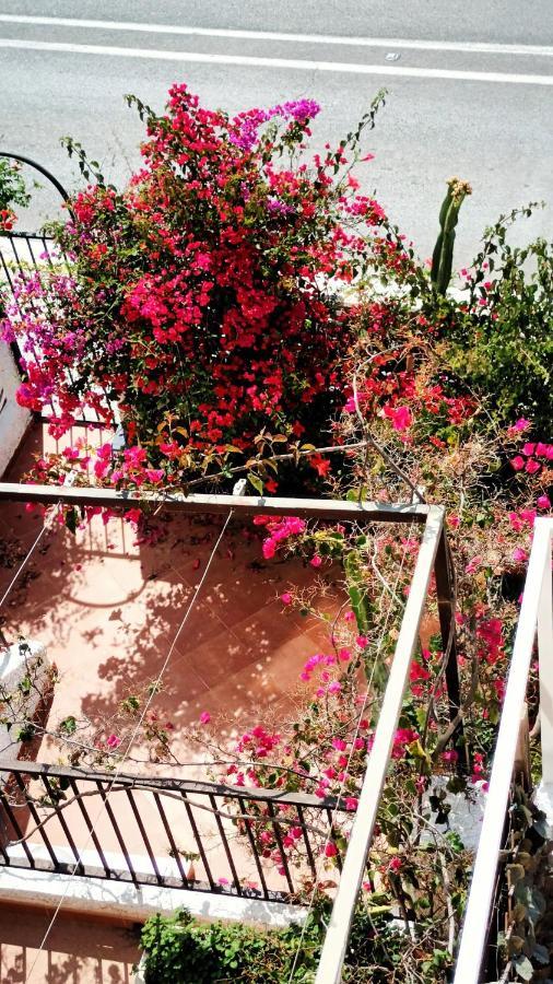 Santa Polita Villa Santa Pola Ngoại thất bức ảnh